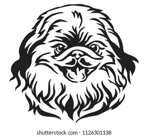 Decorative portrait of Dog Pekingese, vector isolated illustration in black color on white background. Image for design and tattoo. 