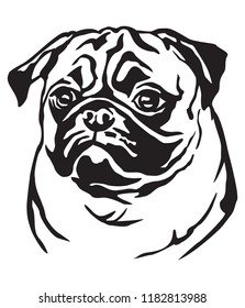 Decorative portrait of dog Pug, vector isolated illustration in black color on white background