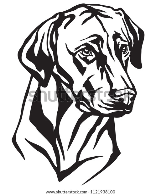 白い背景に黒い背景に犬のローデシアン リッジバックの装飾的なポートレート ベクターイラスト デザインとタトゥー用の画像 のベクター画像素材 ロイヤリティフリー