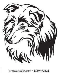 Decorative portrait of dog Shetland Sheepdog (Sheltie), vector isolated illustration in black color on white background