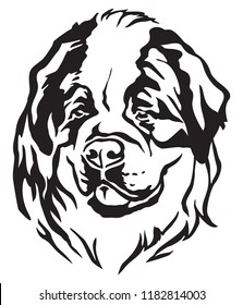 Decorative portrait of dog St. Bernard, vector isolated illustration in black color on white background