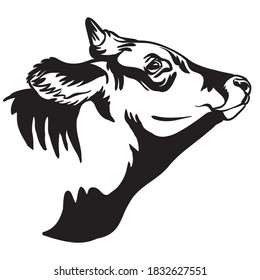 Decorative portrait of horned bull vector illustration in black color isolated on white background. Engraving template image for label, logo, design, packaging, print and tattoo.