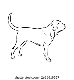 Decorative portrait in profile of dog Bloodhound