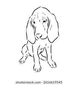 Decorative portrait in profile of dog Bloodhound