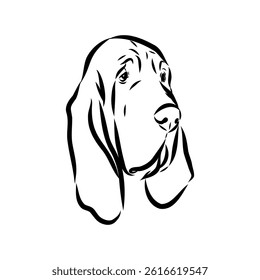 Decorative portrait in profile of dog Bloodhound