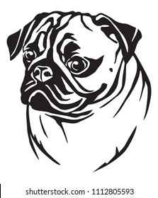 Decorative portrait in profile of dog Pug, vector isolated illustration in black color on white background