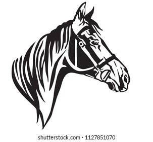 Decorative portrait in profile of horse with bridle, vector isolated illustration in black color on white background. Image for design and tattoo. 