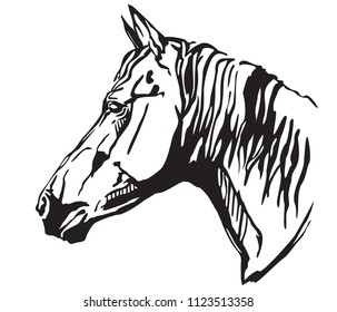 Decorative portrait in profile of horse, vector isolated illustration in black color on white background. Image for design and tattoo. 