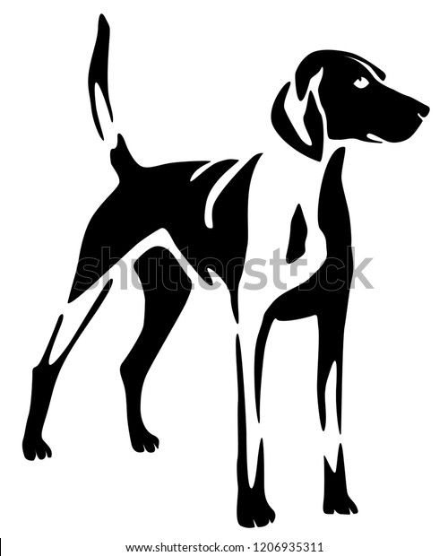 Decorative Portrait Standing Profile American Foxhound Stock Vector ...