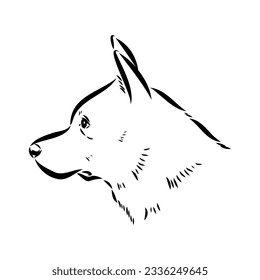 Decorative portrait of standing in profile Australian Cattle Dog, vector isolated illustration in black color on white background