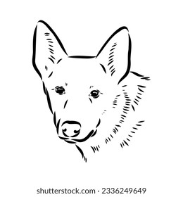 Decorative portrait of standing in profile Australian Cattle Dog, vector isolated illustration in black color on white background