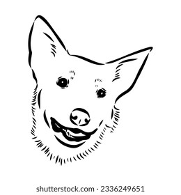 Decorative portrait of standing in profile Australian Cattle Dog, vector isolated illustration in black color on white background