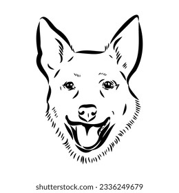 Decorative portrait of standing in profile Australian Cattle Dog, vector isolated illustration in black color on white background