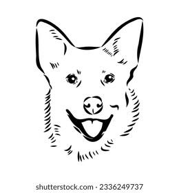 Decorative portrait of standing in profile Australian Cattle Dog, vector isolated illustration in black color on white background