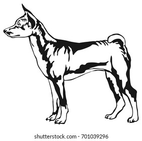 Decorative portrait of standing in profile Basenji, vector isolated illustration in black color on white background
