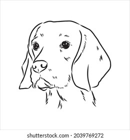 Retrato decorativo de pie en el beagle de perfil, ilustración vectorial aislada en color negro sobre fondo blanco