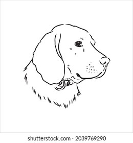 Decorative portrait of standing in profile beagle, vector isolated illustration in black color on white background