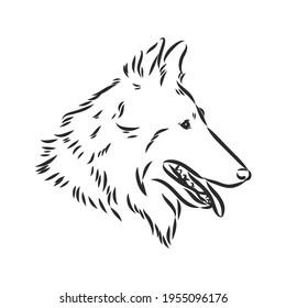 Decorative portrait of standing in profile Belgian Shepherd Groenendael, vector isolated illustration in black color on white background