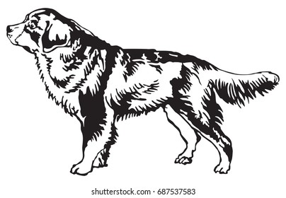 Decorative portrait of standing in profile Bernese Mountain Dog, vector isolated illustration in black color on white background