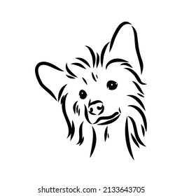 Decorative portrait of standing in profile Chinese Crested Dog, vector isolated illustration in black color on white background