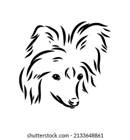 Decorative portrait of standing in profile Chinese Crested Dog, vector isolated illustration in black color on white background