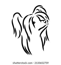 Decorative portrait of standing in profile Chinese Crested Dog, vector isolated illustration in black color on white background
