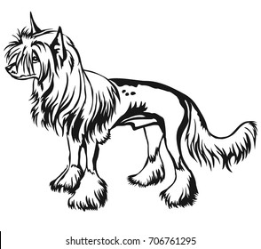 Decorative portrait of standing in profile Chinese Crested Dog, vector isolated illustration in black color on white background