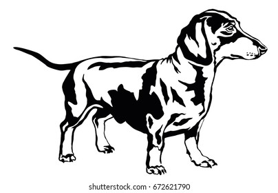 Decorative portrait of standing in profile dog dachshund, vector isolated illustration in black color on white background