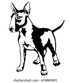 Decorative portrait of standing in profile dog Bull terrier, vector isolated illustration in black color on white background