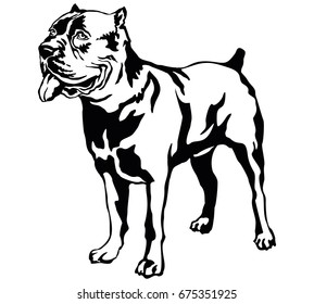 Decorative portrait of standing in profile dog Cane corso italiano vector isolated illustration in black color on white background