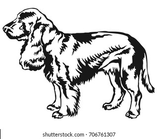 Decorative portrait of standing in profile Field Spaniel, vector isolated illustration in black color on white background