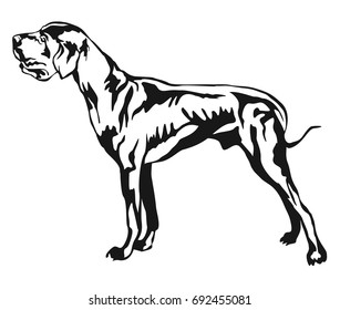 Decorative portrait of standing in profile Great Dane, vector isolated illustration in black color on white background