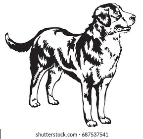 Decorative portrait of standing in profile Greater Swiss Mountain Dog, vector isolated illustration in black color on white background