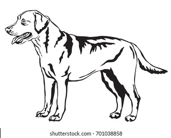 Decorative portrait of standing in profile Labrador Retriever, vector isolated illustration in black color on white background