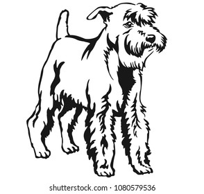 Decorative portrait of standing in profile Miniature Schnauzer, vector isolated illustration in black color on white background