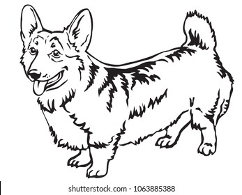 Decorative portrait of standing in profile Pembroke Welsh Corgi, vector isolated illustration in black color on white background