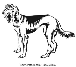 Decorative portrait of standing in profile Persian Greyhound (Saluki), vector isolated illustration in black color on white background