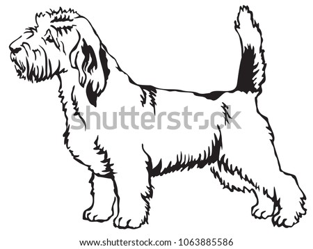 Decorative portrait of standing in profile Petit Basset Griffon Vendeen, vector isolated illustration in black color on white background