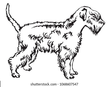 Decorative portrait of standing in profile Soft-coated Wheaten Terrier, vector isolated illustration in black color on white background
