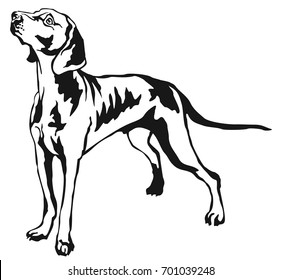 Decorative portrait of standing in profile Weimaraner, vector isolated illustration in black color on white background