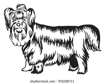 Decorative portrait of standing in profile Yorkshire Terrier, vector isolated illustration in black color on white background
