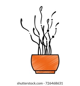 decorative pot isolated icon