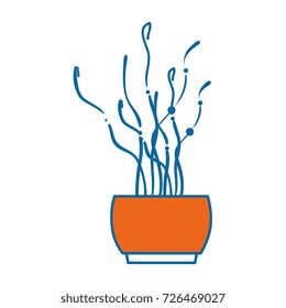 decorative pot isolated icon