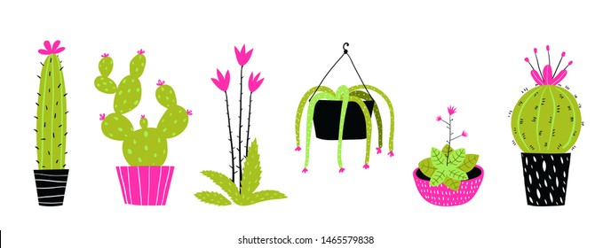 Decorative potted cactus flat illustrations set. Cacti in pots flat vector illustrations set. Indoor plants, foliage houseplants isolated clip arts pack on white background. Cactus in pink and black.