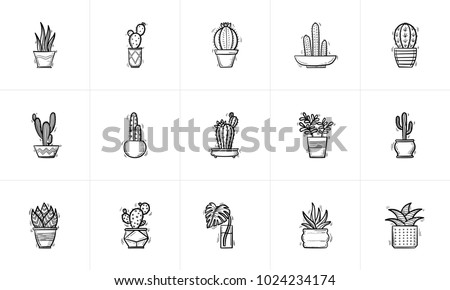 Similar – Image, Stock Photo flowers and succulents on wooden table