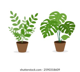 Decorative potted indoor flowers. An interior item. Design element, layout, illustration, print. Vector illustration.