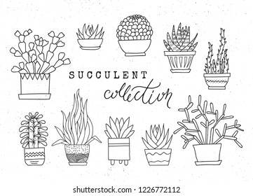 Decorative potted succulents. Vector set of hand-drawn sketched elements isolated on white background. Can be used as a print on t-shirts, bags, stationery, posters, greeting cards.