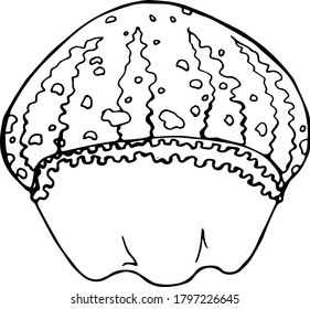 Decorative pumpkin, autumn harvest, vector drawing, Halloween, pumpkin with a carved face. Coloring pages for children and adults of any age