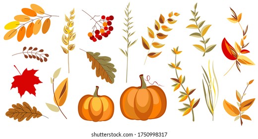 Calabaza decorativa, ramas y hojas para el Día de Acción de Gracias. Elementos decorativos para el diseño de Halloween. Ilustración vectorial.
