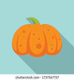 Icono decorativo de calabaza. Ilustración plana del icono decorativo del vector de calabaza para el diseño web
